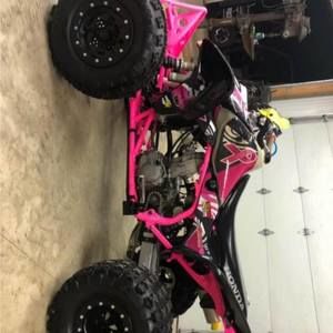 Meet your Posher, Dougie